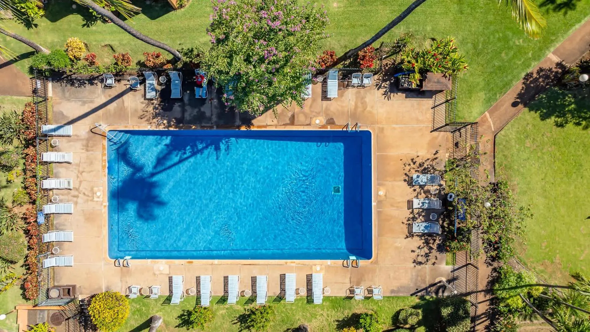 Tatil Evi Kuleana Club #404 Oceanfront -1 Bedroom 1 Bathroom - Gated Kahana